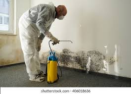 Mold Remediation for Vacation Homes in The Villages, FL